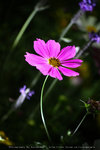 IMG_6660