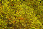IMG_1585