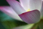 IMG_4705-05