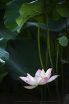 IMG_4711-11