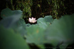 IMG_4756-56