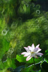 IMG_4780-80