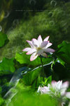 IMG_4782-82