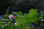 IMG_4808-08