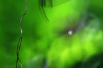 IMG_4813-13