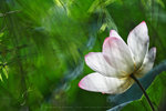 IMG_4818-18