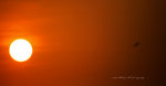 IMG_4137