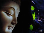 buddhirs-3