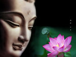 buddhirs_4