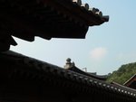 志蓮淨苑 7