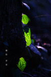 IMG_1460-60