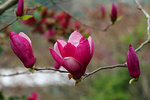 IMG_2313-13