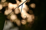 IMG_2465-65