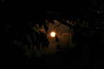IMG_2505-05