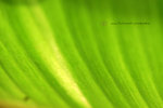 IMG_3780-80