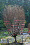 IMG_4474-74