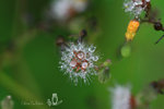 IMG_5101-01