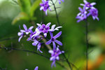IMG_6428-28