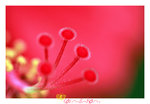 IMG_6507-07