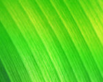 IMG_7283-83