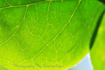 IMG_8199-99