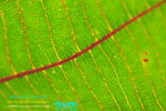 IMG_9102-02