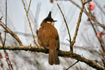IMG_4699-99