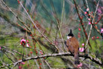 IMG_4708-08