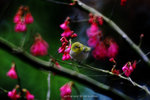IMG_4725-25
