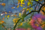 IMG_4875-75