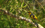 IMG_5644-44