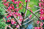 IMG_5659-59