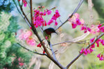 IMG_5759-59