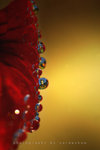 IMG_5787-87