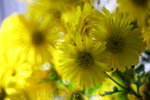 IMG_5825-25