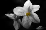 IMG_5860-60