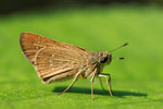 IMG_2429-29