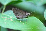 IMG_3770-70
