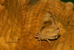 IMG_6122-22