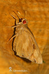 IMG_6125-25