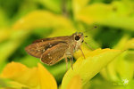 IMG_7149-49