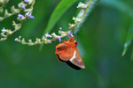 IMG_8224-24