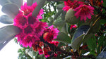 IMG_1916-16