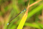 IMG_8925-25