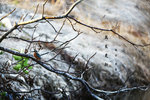 IMG_0002-02