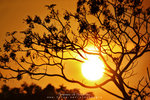 IMG_0010-10
