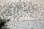 IMG_0023-23