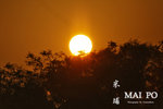 IMG_0026-26