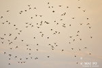 IMG_0027-27