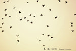 IMG_0028-28